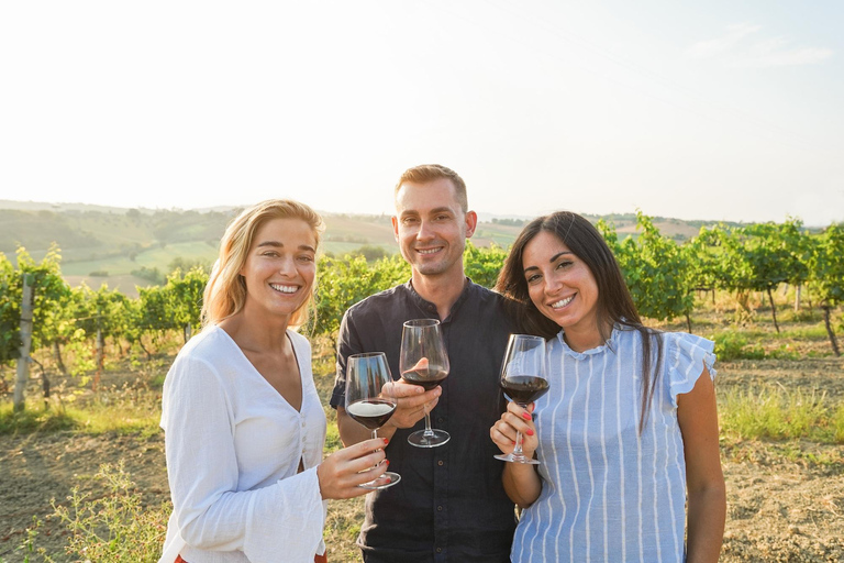 Expérience Haras : escapade dans les vignobles, vin et dégustationsExpérience Icono – 4 dégustations de vin