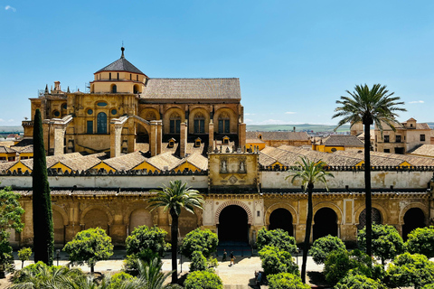 Córdoba: Gourmet Tapas Tour