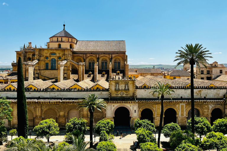 Córdoba: Gourmet Tapas Tour