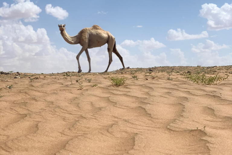 Muscat: Wahiba Desert &amp; Wadi Bani khalid Private Tour+Lunch