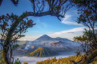 Outdoor & Sport Activities in Surabaya
