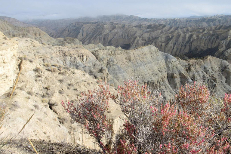 Granada: Gorafe Desert E-Mountain Bike Tour with Transfer