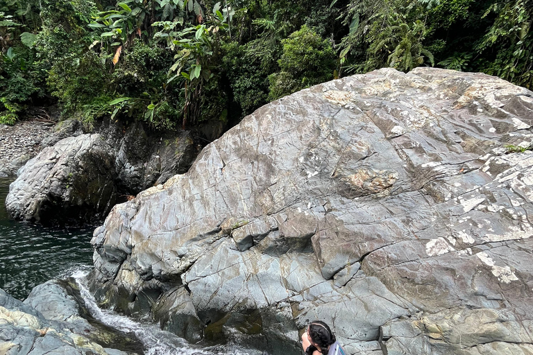 El Yunque ,river ,water slides and hike excursions