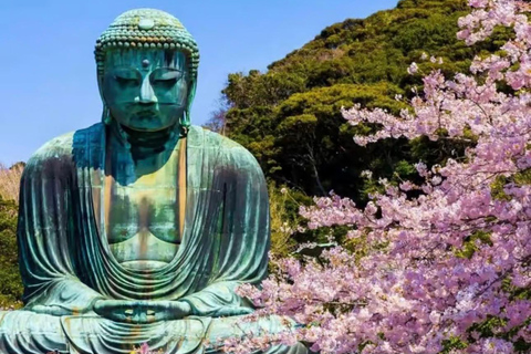 Tokyo: Kamakura & Enoshima Private Guided Day Trip