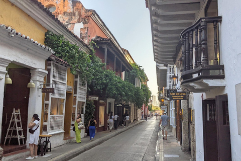 Cartagena: Tour guidato della Città Vecchia e del Quartiere GetsemaniCartagena: Città vecchia e quartiere degli artisti: tour guidato