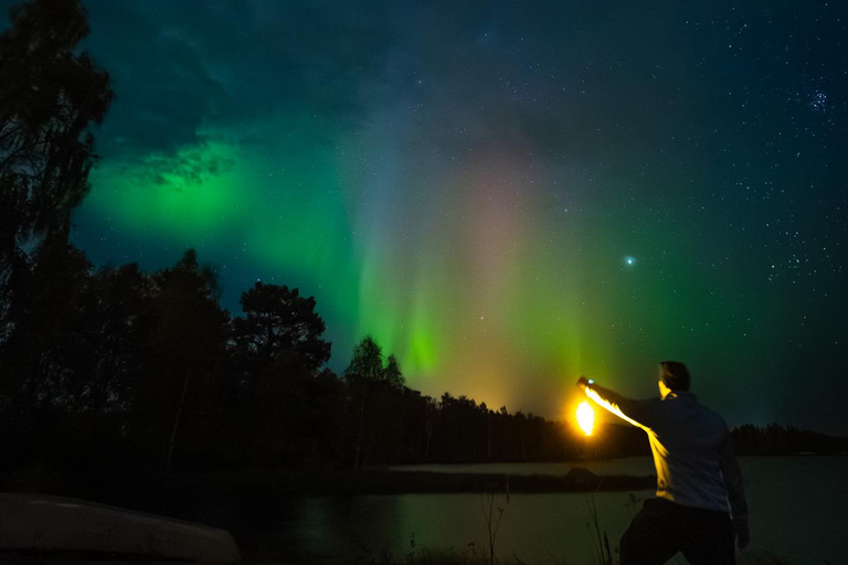 Aurora Hunt with Money-Back Guarantee + Photo and Video Aurora Hunt with Money-Back Guarantee