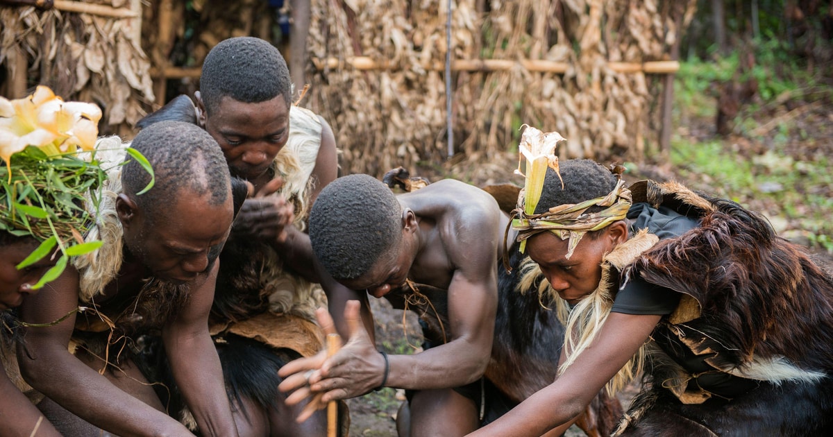 Uganda Eine 3 tägige Gorilla Abenteuer Tour GetYourGuide