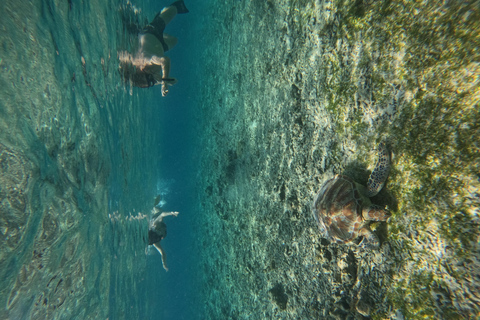 Gili Air: Small-Group Snorkeling Tour with GoPro
