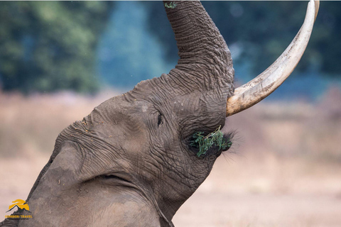 3-Day Wildlife Wonder! Tarangire, Lake Manyara & Ngorongoro.