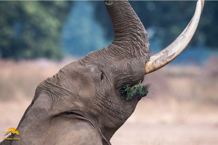 3-Day Wildlife Wonder! Tarangire, Lake Manyara & Ngorongoro.