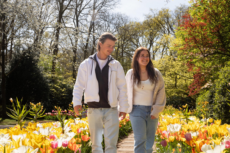 From Rotterdam: Luxury Bus Tour with Keukenhof Ticket