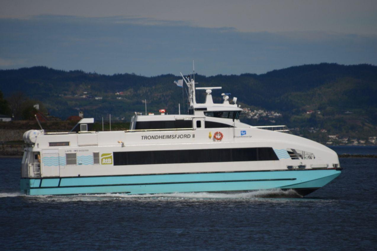 Northern Lights cruise in Tromsø