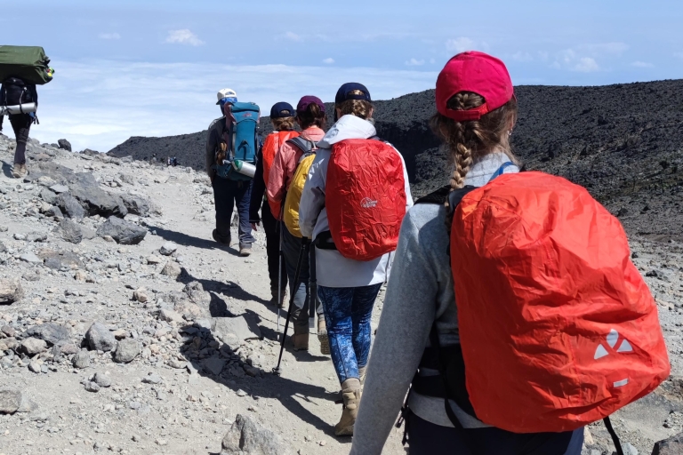 Moshi: beklimming van de Kilimanjaro via de Machame RouteMoshi: Kilimanjaro beklimmingstocht via Machame Route 6 dagen