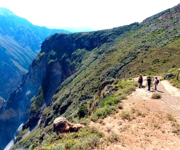 Trek fra Arequipa: 2-dages vandring i Colca Canyon