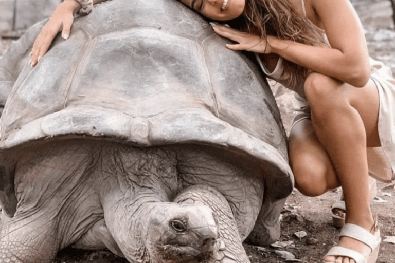 Zanzibar: Private Prison Island Tortoise Site & Stone Town. Private Tour With Meeting Point Pickup (No Entrance Fees)