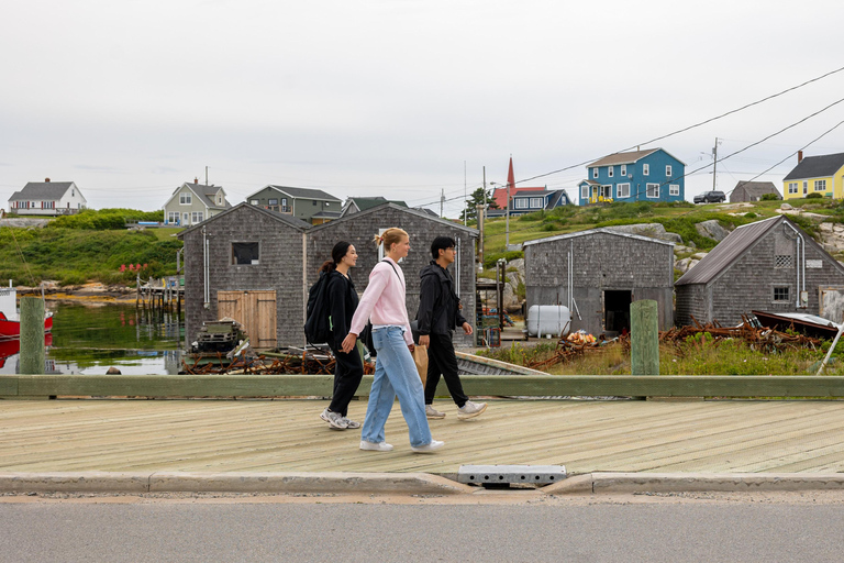 Tour esclusivo in auto per piccoli gruppi a Halifax con Peggy's Cove