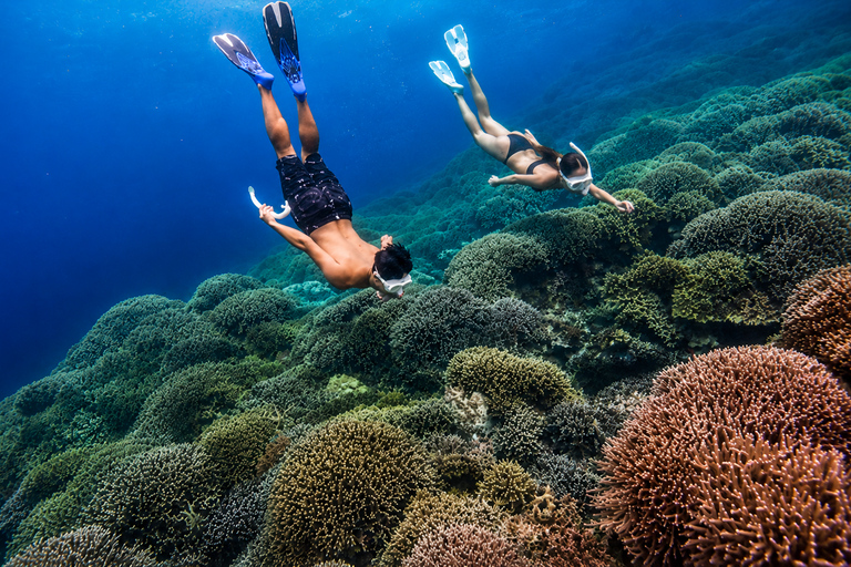 Cebu: 2-Day Camping, Kawasan & Moalboal Adventure