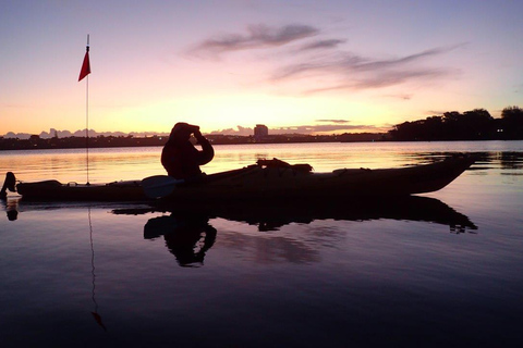 Auckland: Nocna wycieczka kajakiem z nauką bioluminescencjiAuckland: Nocny rejs kajakiem bioluminescencyjnym z czesnego