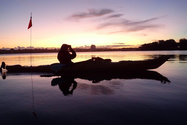 Auckland : Visite nocturne en kayak de la bioluminescence avec encadrementAuckland : Excursion nocturne en kayak à la recherche des bioluminescences avec cours