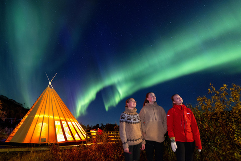 From Narvik: The Northern Lights Arctic Train Guided Tour