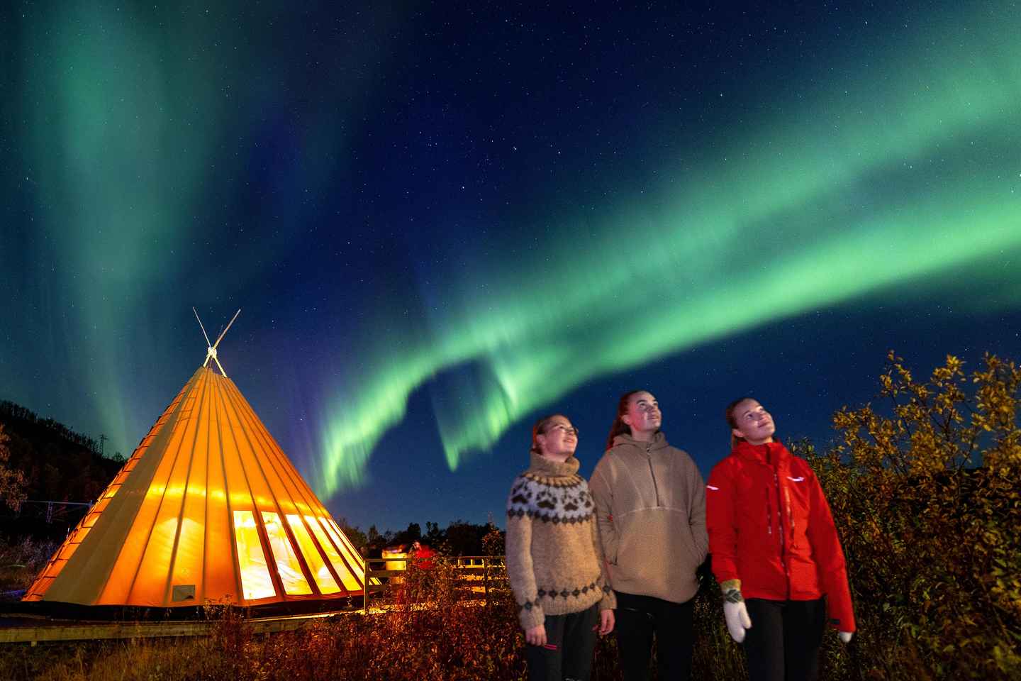 Narvik: Tour in Treno per l'Aurora Boreale