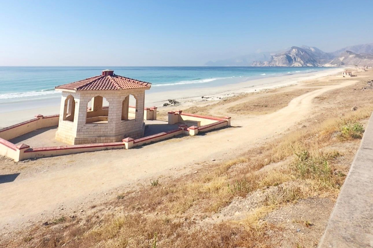 Salalah West Tour (Al fazayah beach, shaat viewpont)