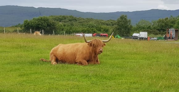 Inverness: Outlander Tour, Culloden, Clava Cairns & more