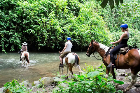 Fethiye Horseback Riding – All Levels | Hotel Pickup Daily