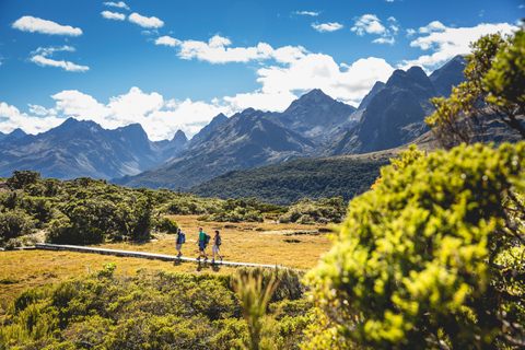 From Te Anau: Milford Sound Cruise & Key Summit Hike
