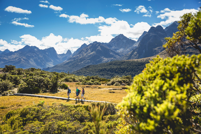 From Te Anau: Milford Sound Cruise & Key Summit Hike