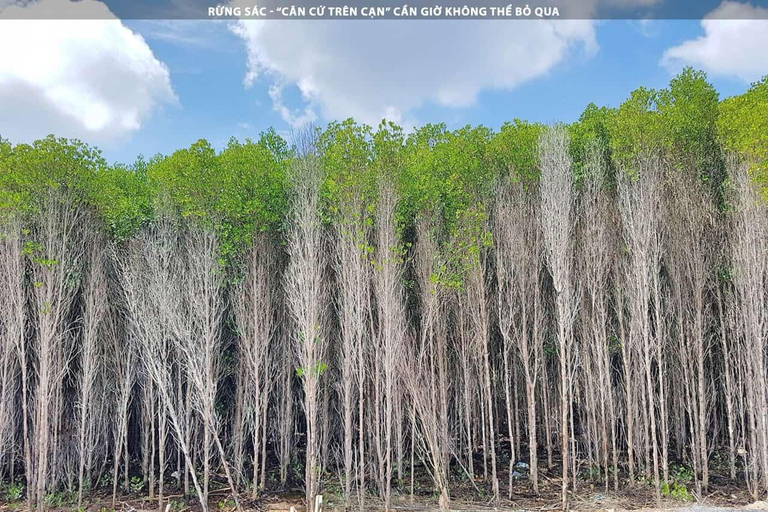 Can Gio Mangrove Forest e Monkey Island 1 dia