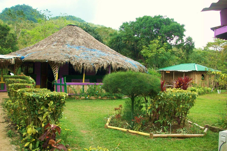 Passeio pelo rio Mayfield Falls com transporte particularDe Negril