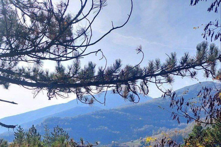 From Belgrade: Zlatibor, Drvengrad, and Gondola Tour