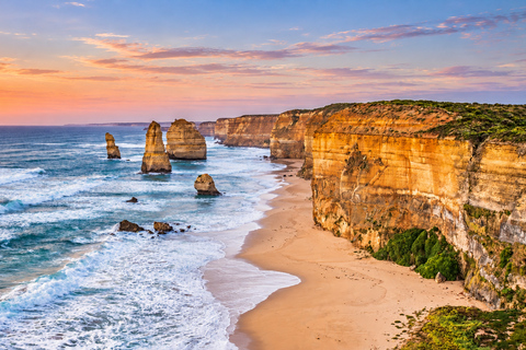 Melbourne: Great Ocean Road Tour, 12 Apostles & Apollo Bay Melbourne CBD Meeting Point (Max 50 guests)