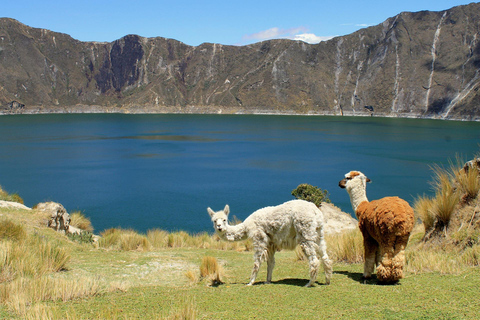 Cotopaxi i Laguna Quilotoa 2 dni 1 noc