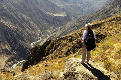 Colca Canyon Trekking 2 days