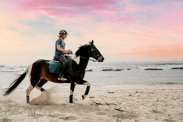 Visit Horseback Riding Tour in Vila Nova de Cerveira