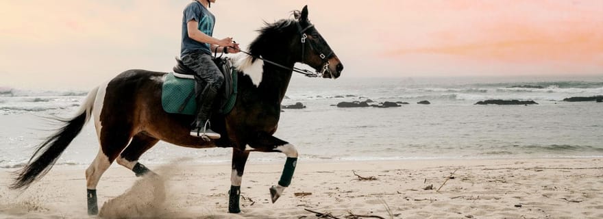 Randonnée à cheval