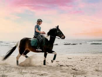 Passeio a cavalo