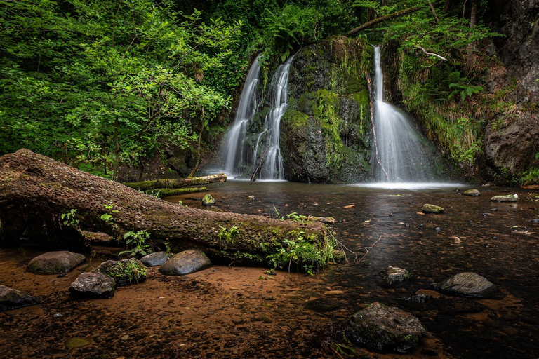 Inverness: Black Isle Tour with Brewery Visit & Tasting