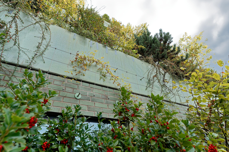 Green Bunker Tour on St. Pauli – the original