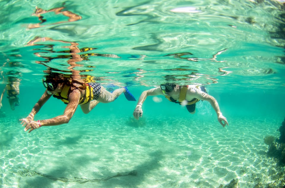 Cancun: Jungle Tour Adventure with Speedboat and Snorkeling | GetYourGuide