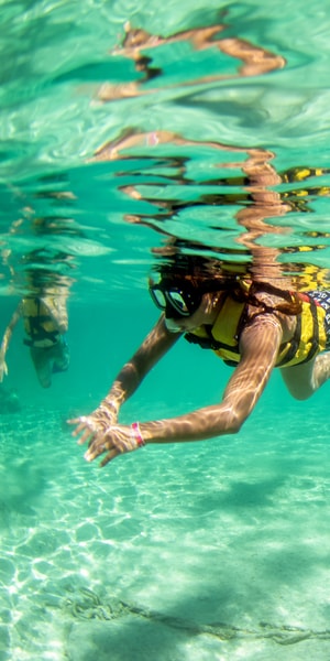 Cancun: Jungle Tour Adventure with Speedboat and Snorkeling | GetYourGuide