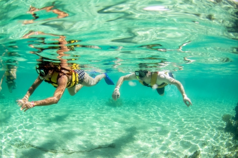 Cancún: avontuur jungle met speedboot en snorkelenCancún: jungle avontuur 09:00 uur (gedeelde speedboot)