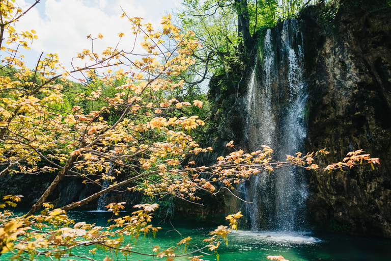 Depuis Split ou Trogir : Visite des lacs de Plitvice avec billets d&#039;entréeDe Split ou Trogir : journée aux lacs de Plitvice