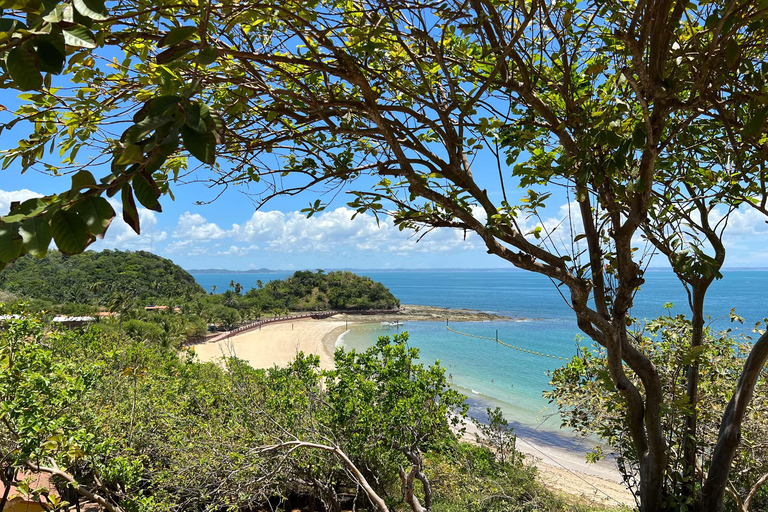 Salvador : Ilha dos Frades - Excursion en bateau privé avec transfert