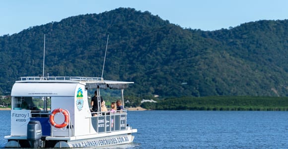 Cairns: 75-minute Inlet River Cruise
