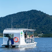 Cairns: 75-minute Inlet River Cruise