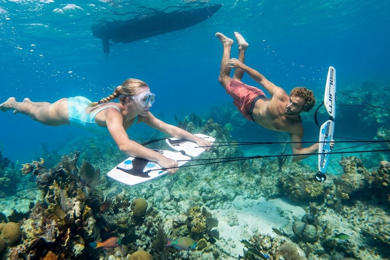 Gili Trawangan: Subwing Experience include Mask