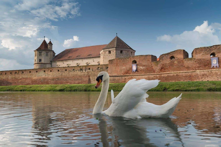 Vanuit Sibiu: Rondleiding vol verrassingen!